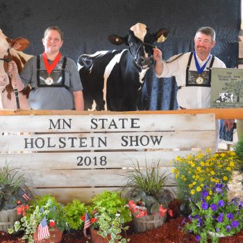 All-Minnesota Fall Yearling Heifer