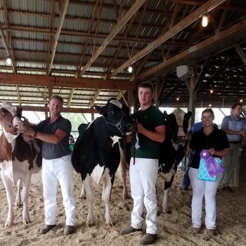 District 10 Holstein Show (Bagley, MN)