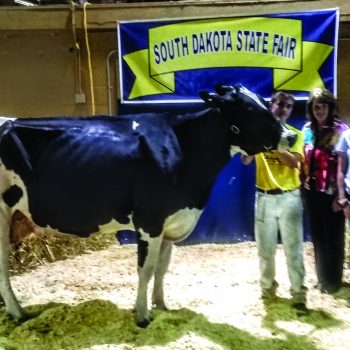 2018 South Dakota State Fair Open and Junior Holstein Show Highlights