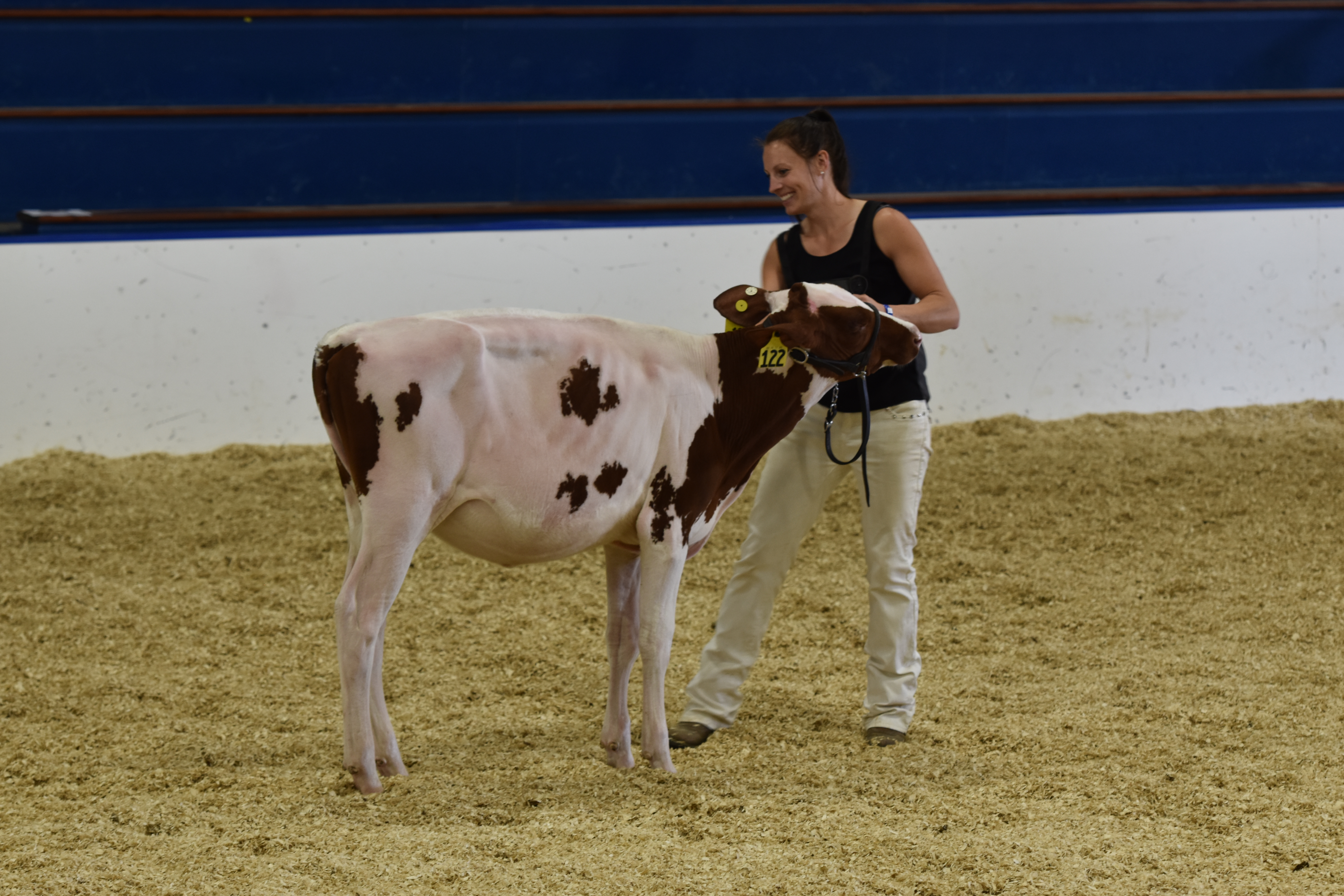 2020 Minnesota State Red & White Show - Minnesota Holstein Association