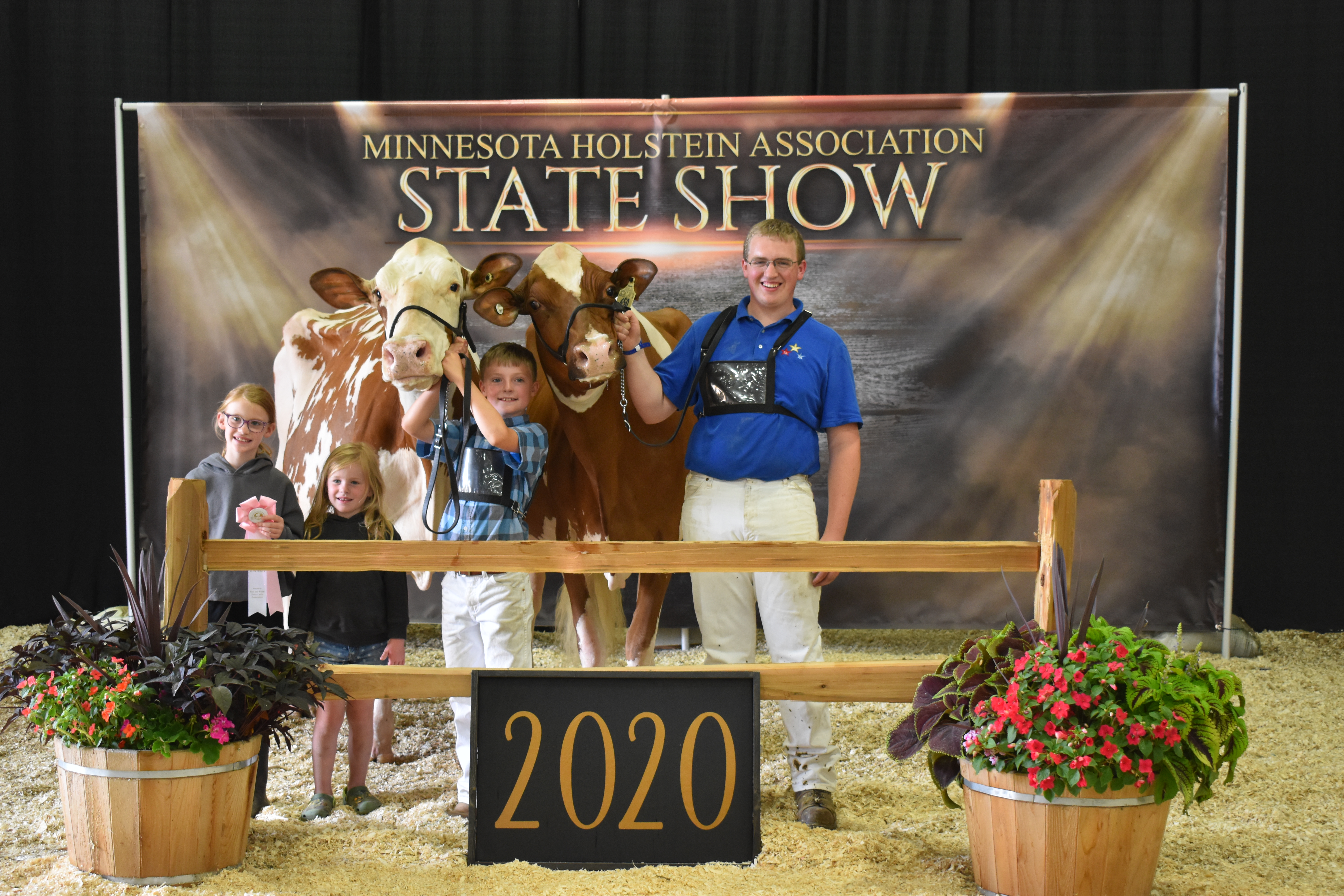2020 Minnesota State Red White Show Minnesota Holstein Association