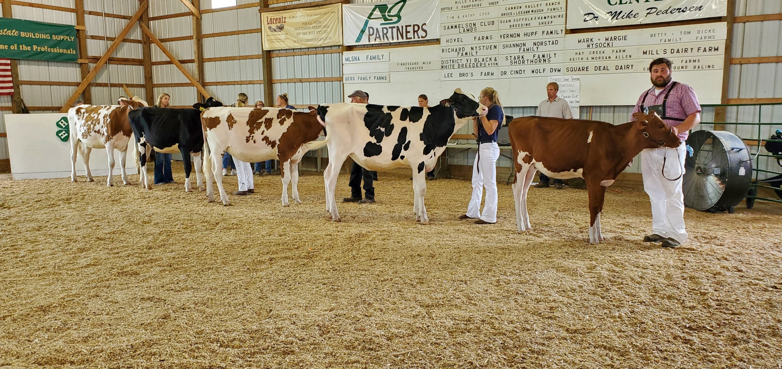 2022 District XI Holstein Show Results Minnesota Holstein Association