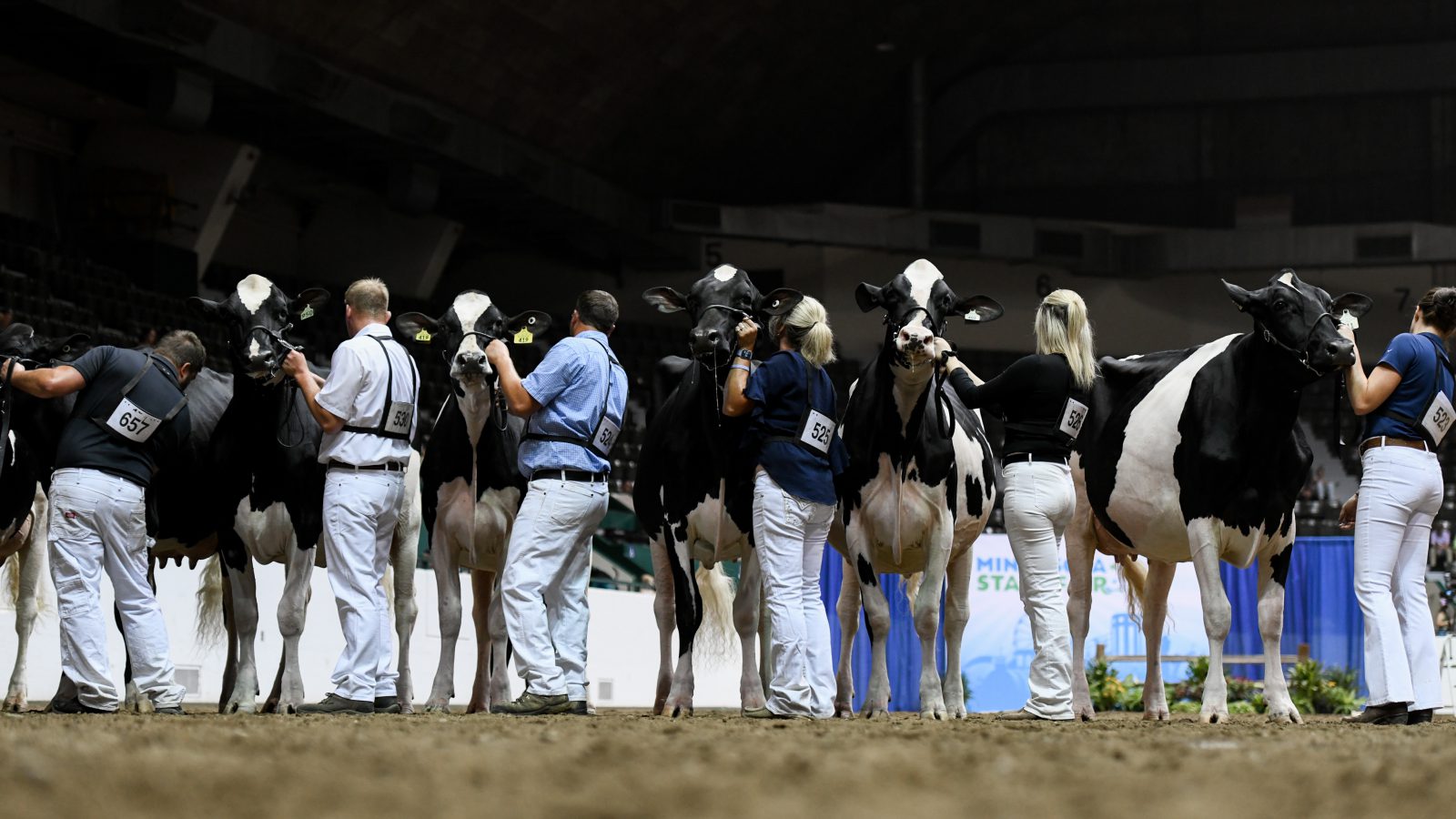 Calendar Minnesota Holstein Association